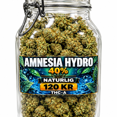 Alternative view of Amnesia Hydro 40% – Premium A Flower