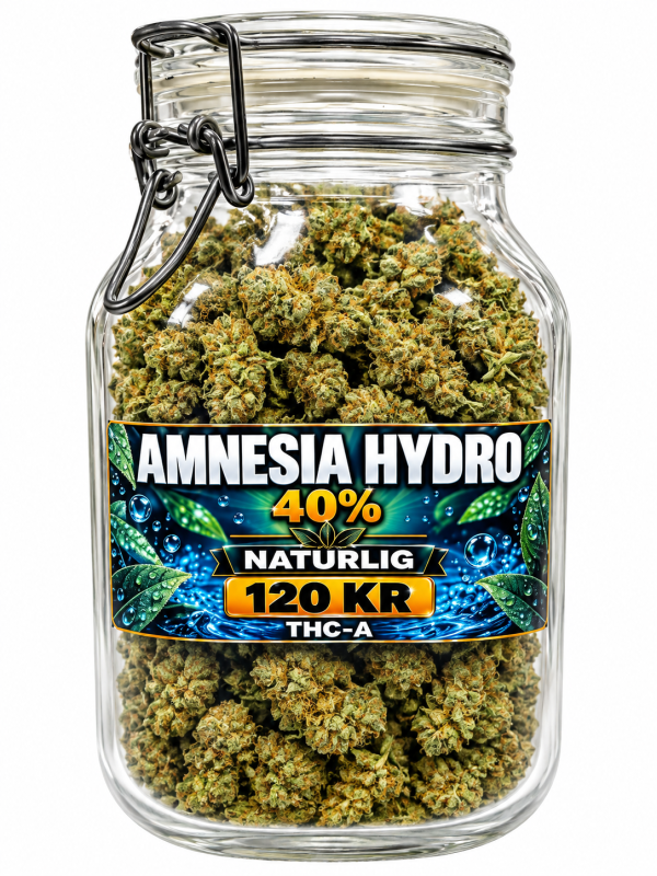 Amnesia Hydro 40% – Premium A Flower - Image 2