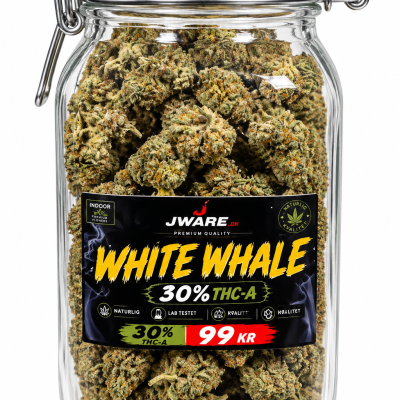 Alternative view of White Whale 30% – Premium A Blomst